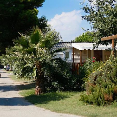 Mobil-Home 3Ch 34 M2 A Saint-Cyprien Saint-Cyprien (Pyrenees-Orientales) Exterior foto