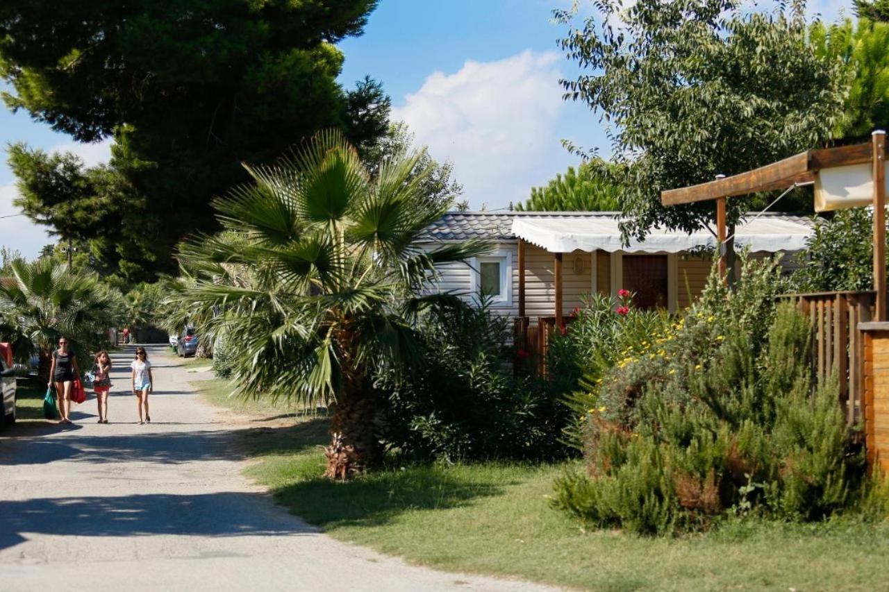 Mobil-Home 3Ch 34 M2 A Saint-Cyprien Saint-Cyprien (Pyrenees-Orientales) Exterior foto